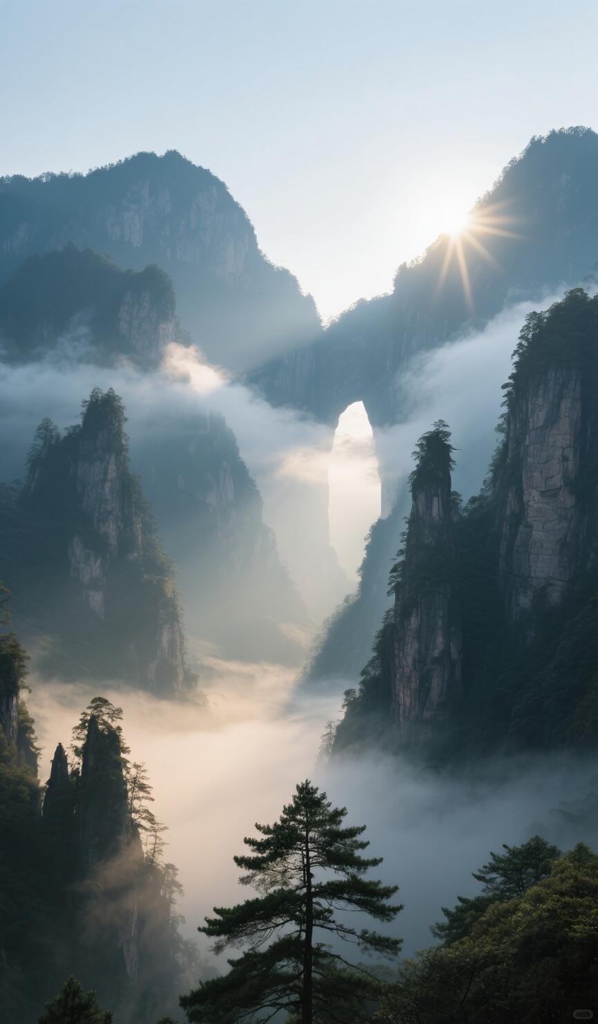 Towering forested sandstone pillars wreathed in mist with sunlight bursting over the ridge at dawn.
