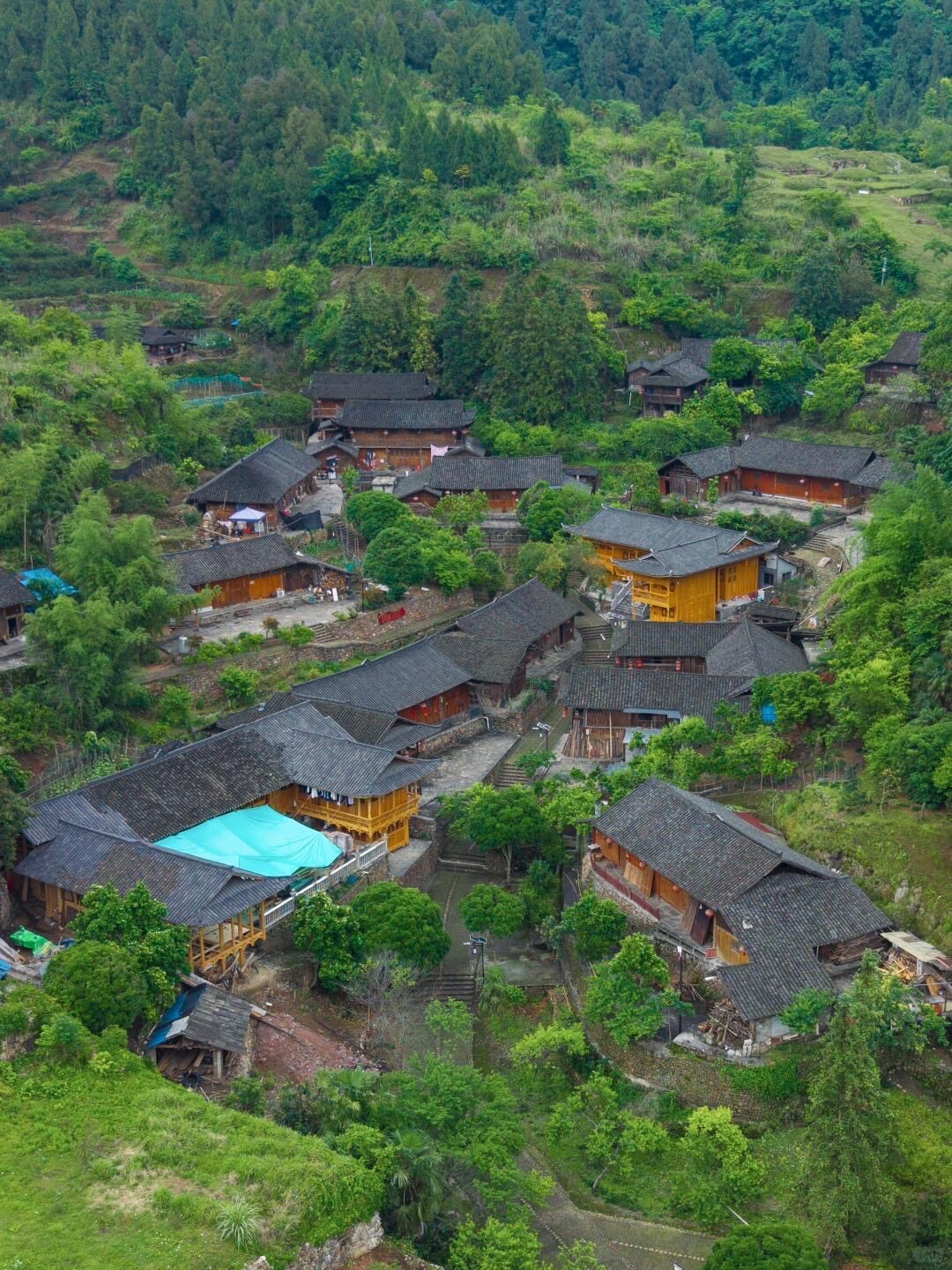 Aerial view of timber and tiled village houses stepping up a green terraced hillside surrounded by forest.
