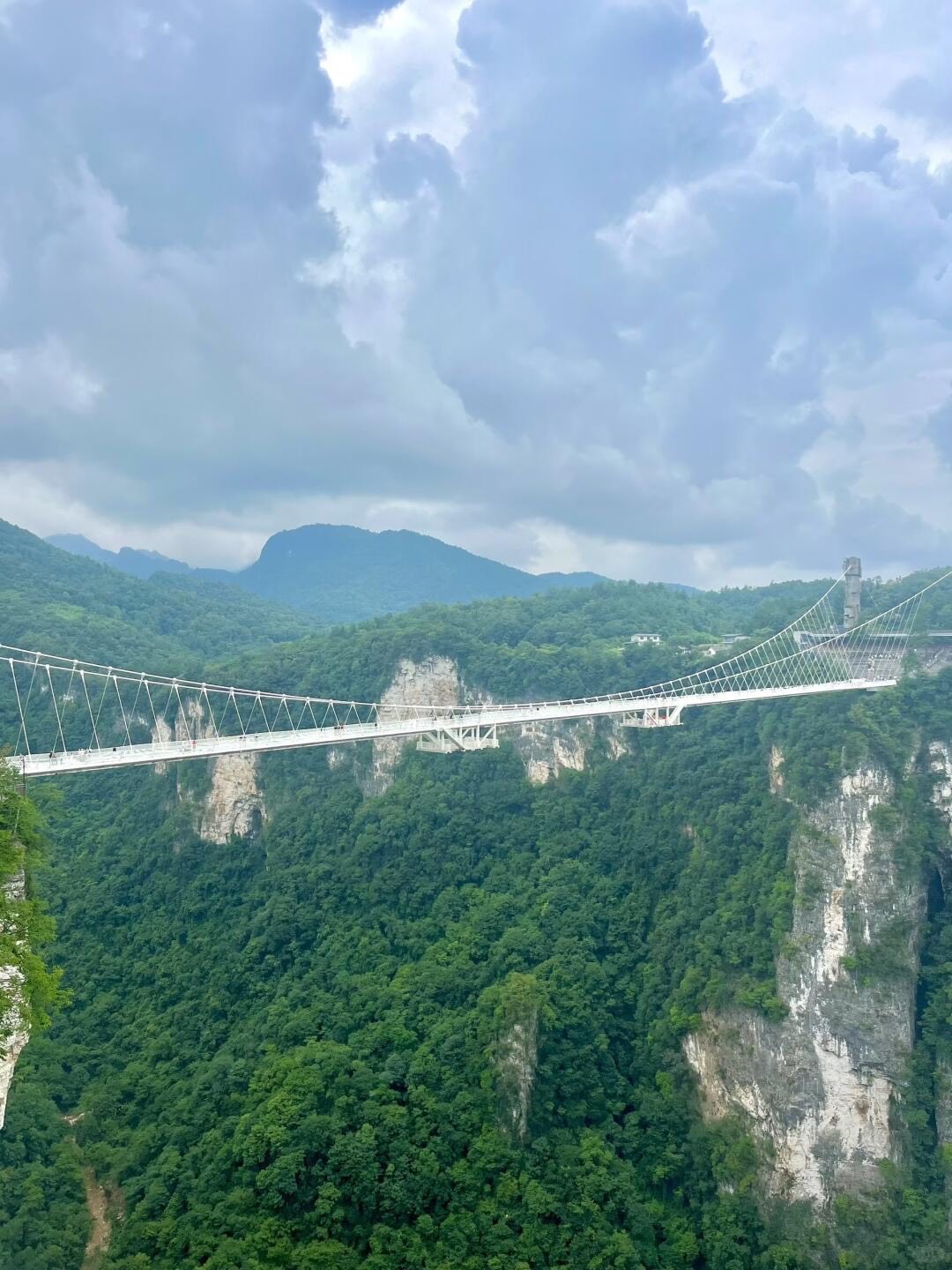 Long white glass suspension bridge spanning a deep green forested canyon between cliffs under a cloudy sky.