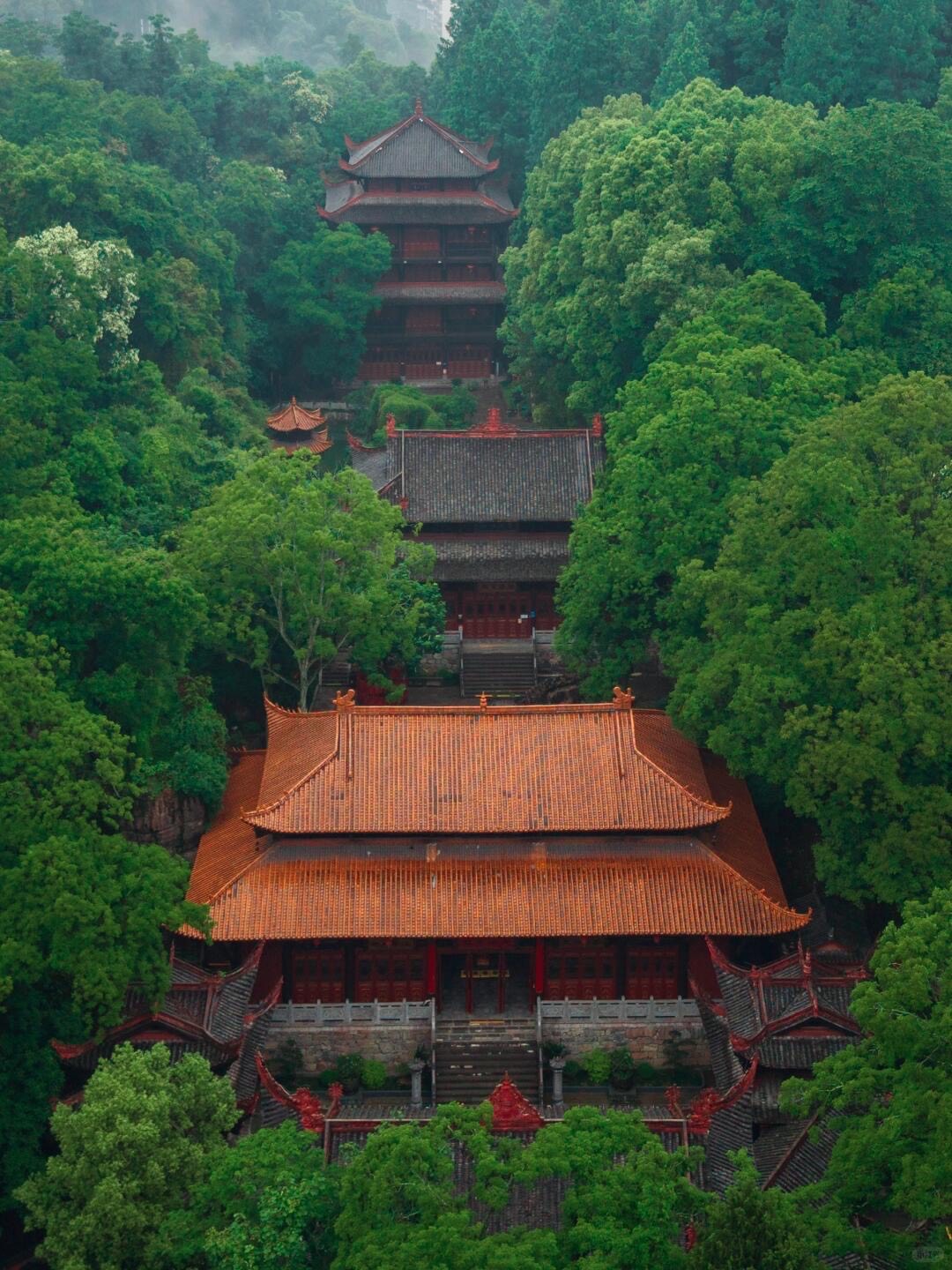 Tiered temple halls with red-tiled roofs climb a forested hillside in a stepped procession at Zhangjiajie.