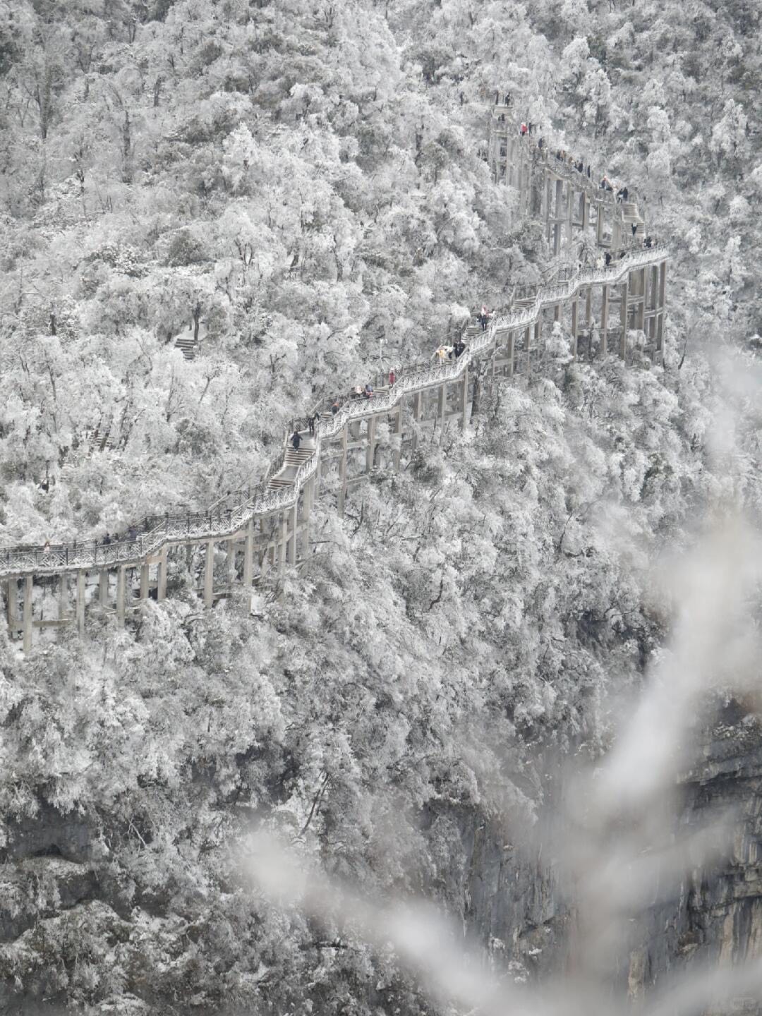 Elevated plank pathway zigzags across a steep mountainside blanketed in snow and frost-covered trees with drifting mist.