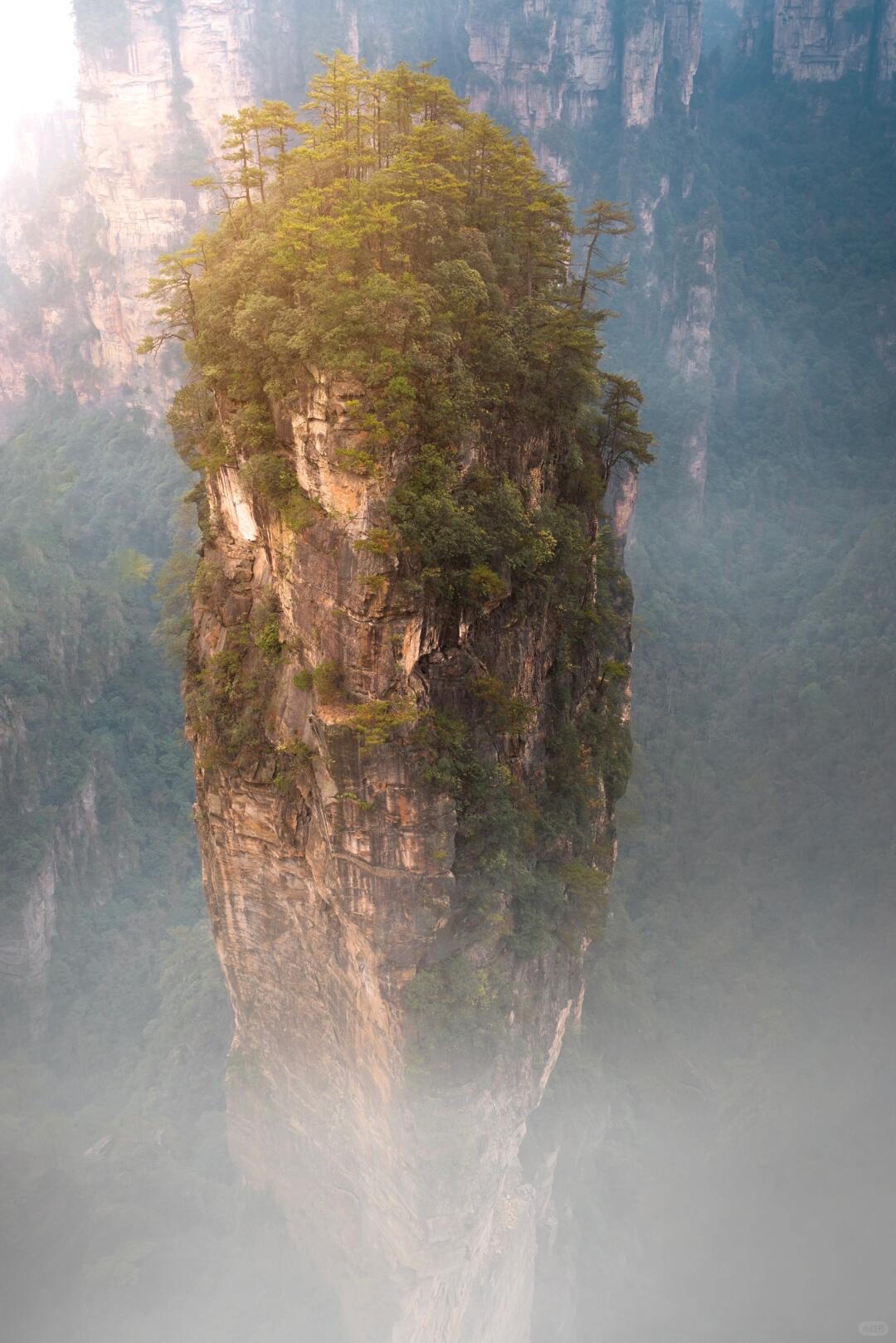 A solitary sandstone pillar crowned with green trees rises from a misty valley of forested peaks at Wulingyuan.