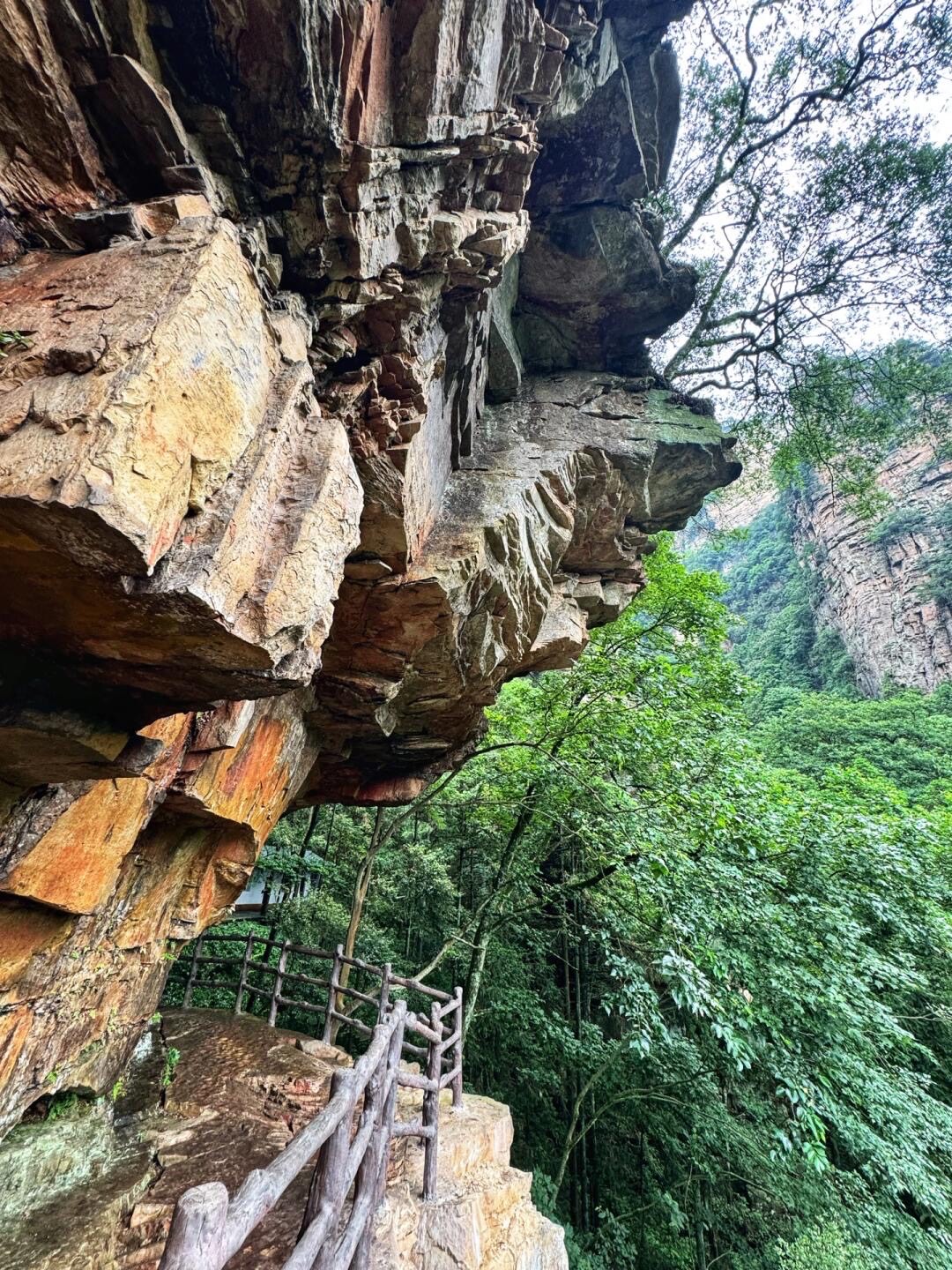 Wooden-railed path passes beneath a massive overhanging sandstone cliff above a lush green forested canyon.