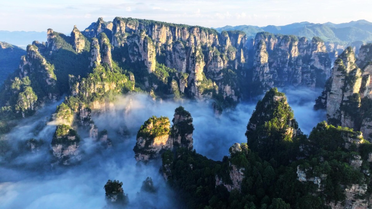 Forested sandstone pillars of Wulingyuan rise above a drifting sea of clouds under a blue morning sky.