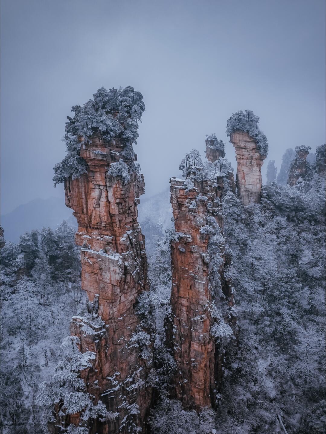 Towering red sandstone pillars capped with snow-dusted pines rise above a frosted forest under a grey winter sky.