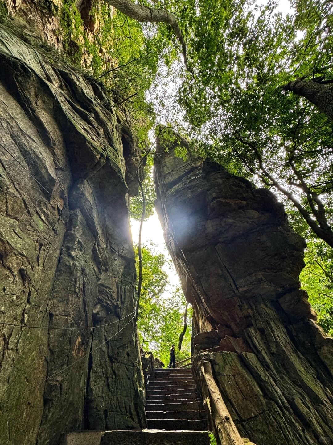 Stone steps rise between two towering split rock formations framed by green forest with sunlight breaking through.