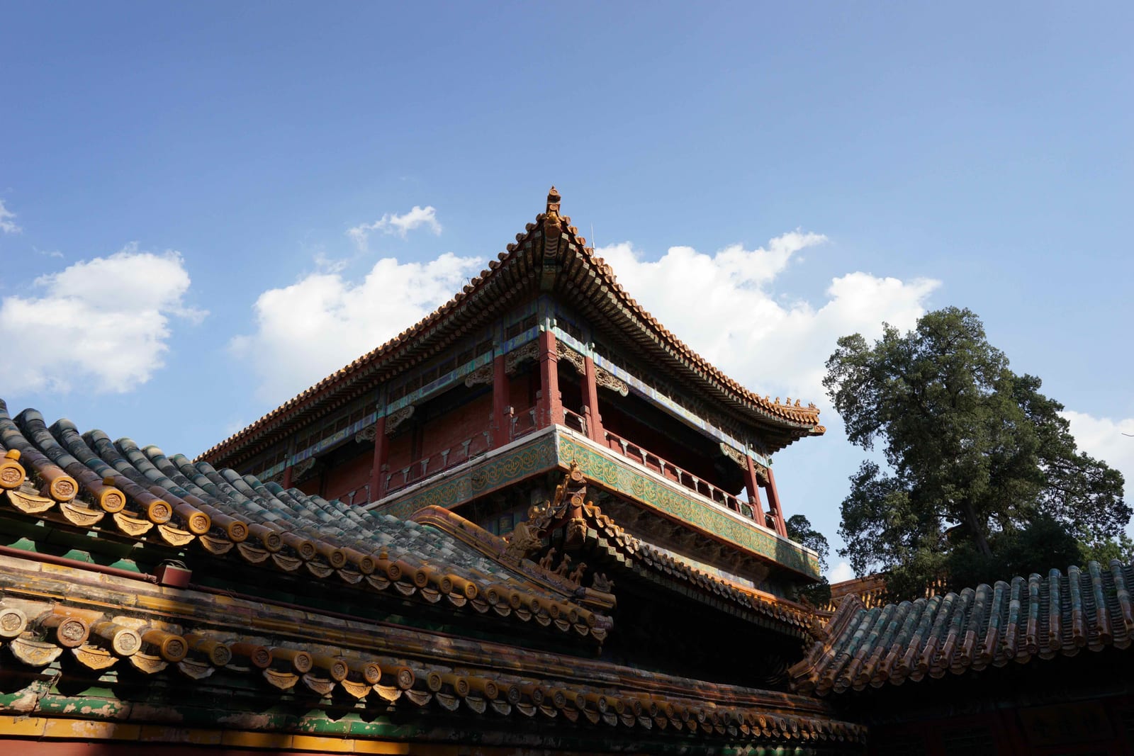 Glazed-tile roofs and upturned eaves of a pavilion in the Forbidden City's Imperial Garden, Beijing — Classic China pandas & Zhangjiajie tour