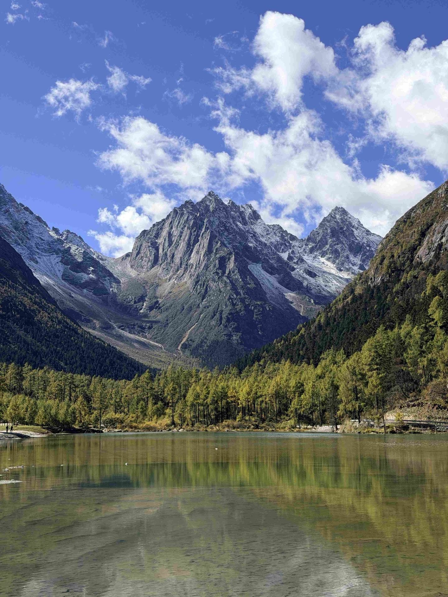 Golden alpine meadow beneath the sacred peaks of Daocheng Yading
