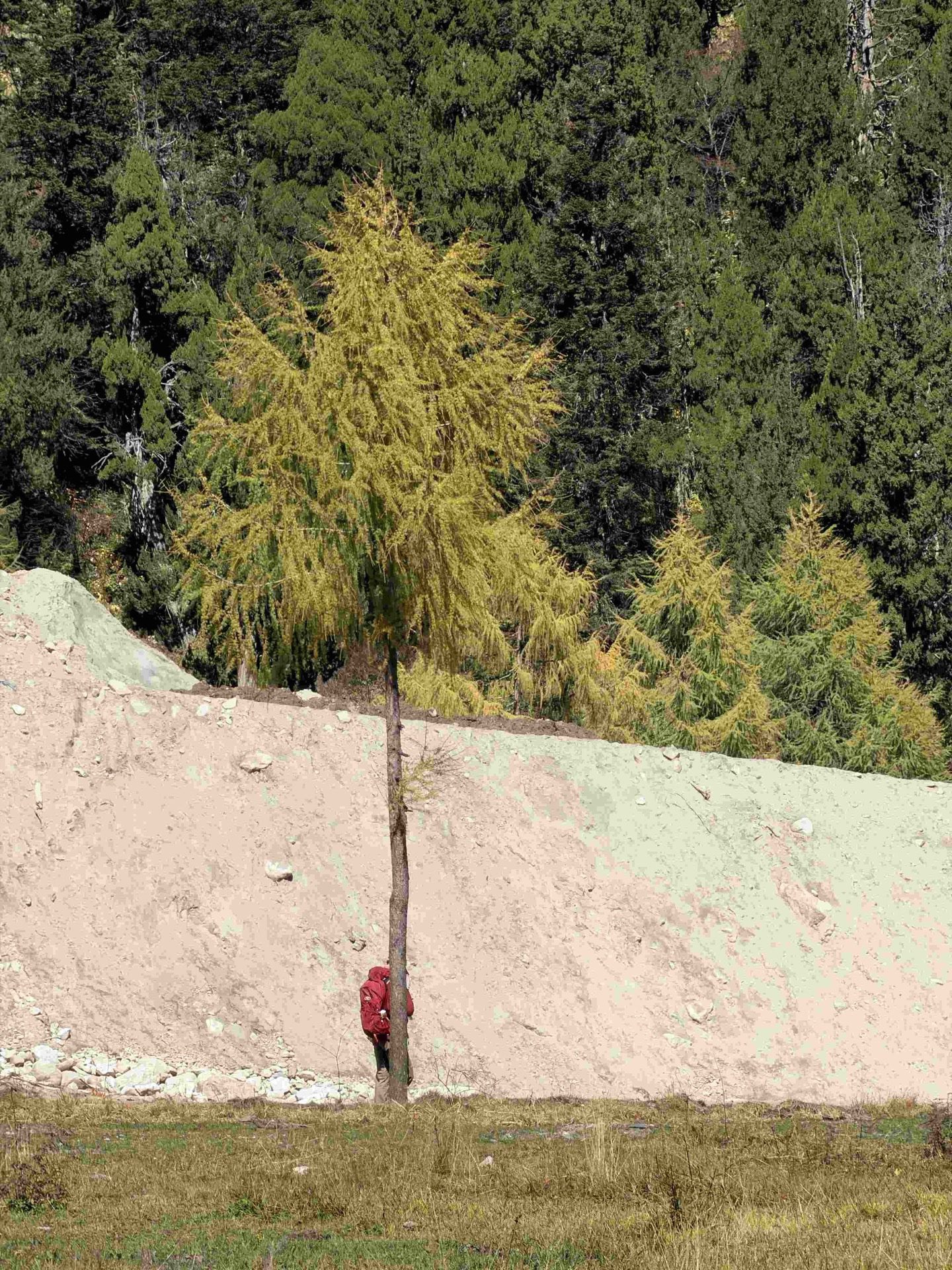 Morning mist lifting in the Yading valley, Daocheng — the last Shangri-La