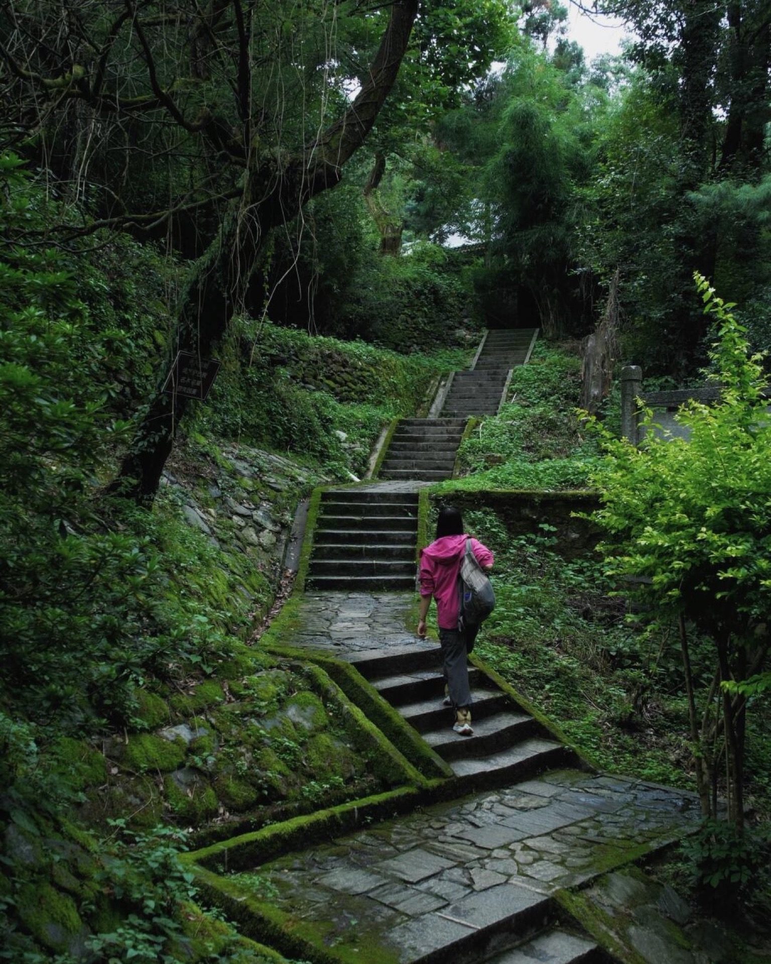 Stone forest stairway ascending through Cang Mountain woodland, Dali — Yunnan slow culture tour