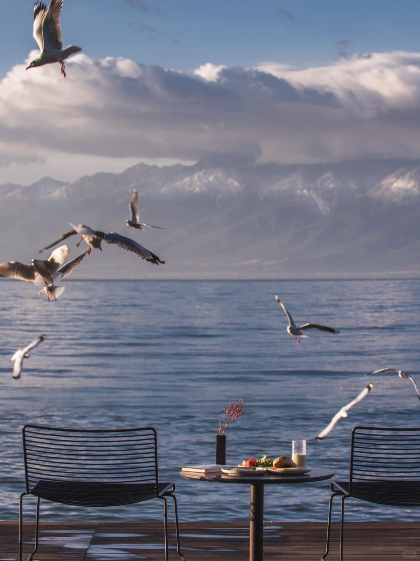Lakeside picnic setup on Erhai with gulls in flight — the Cloud Prairie late-morning vibe