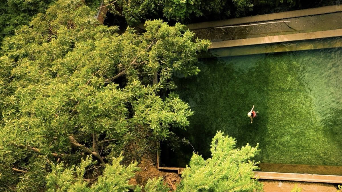 Aerial view of a swimmer in a tree-lined natural pool in Mangshi's Dai countryside — Yunnan slow culture tour