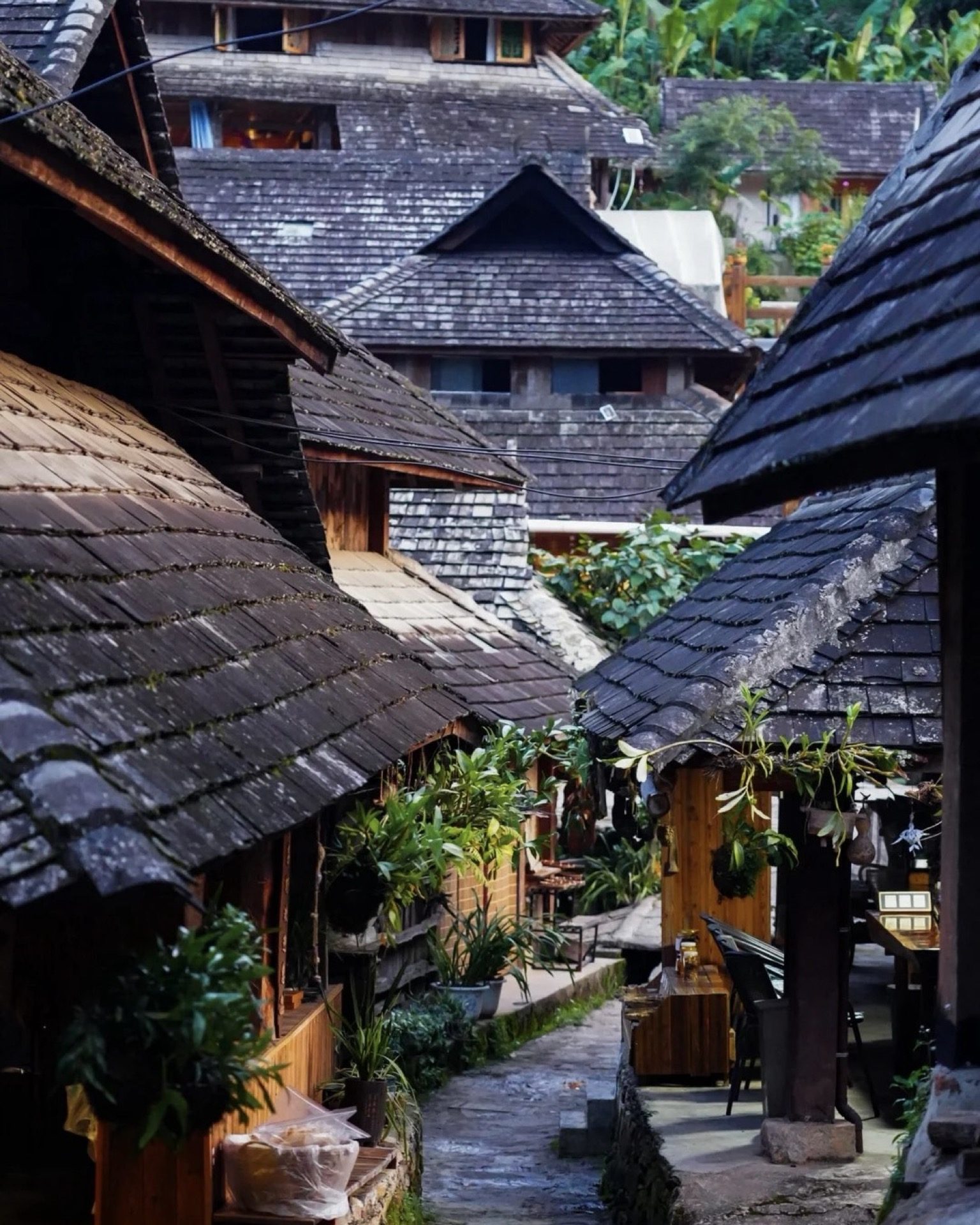 Narrow alley between traditional Dai timber houses at twilight in a Jingmai heritage village — Bulang and Dai cultural landscape