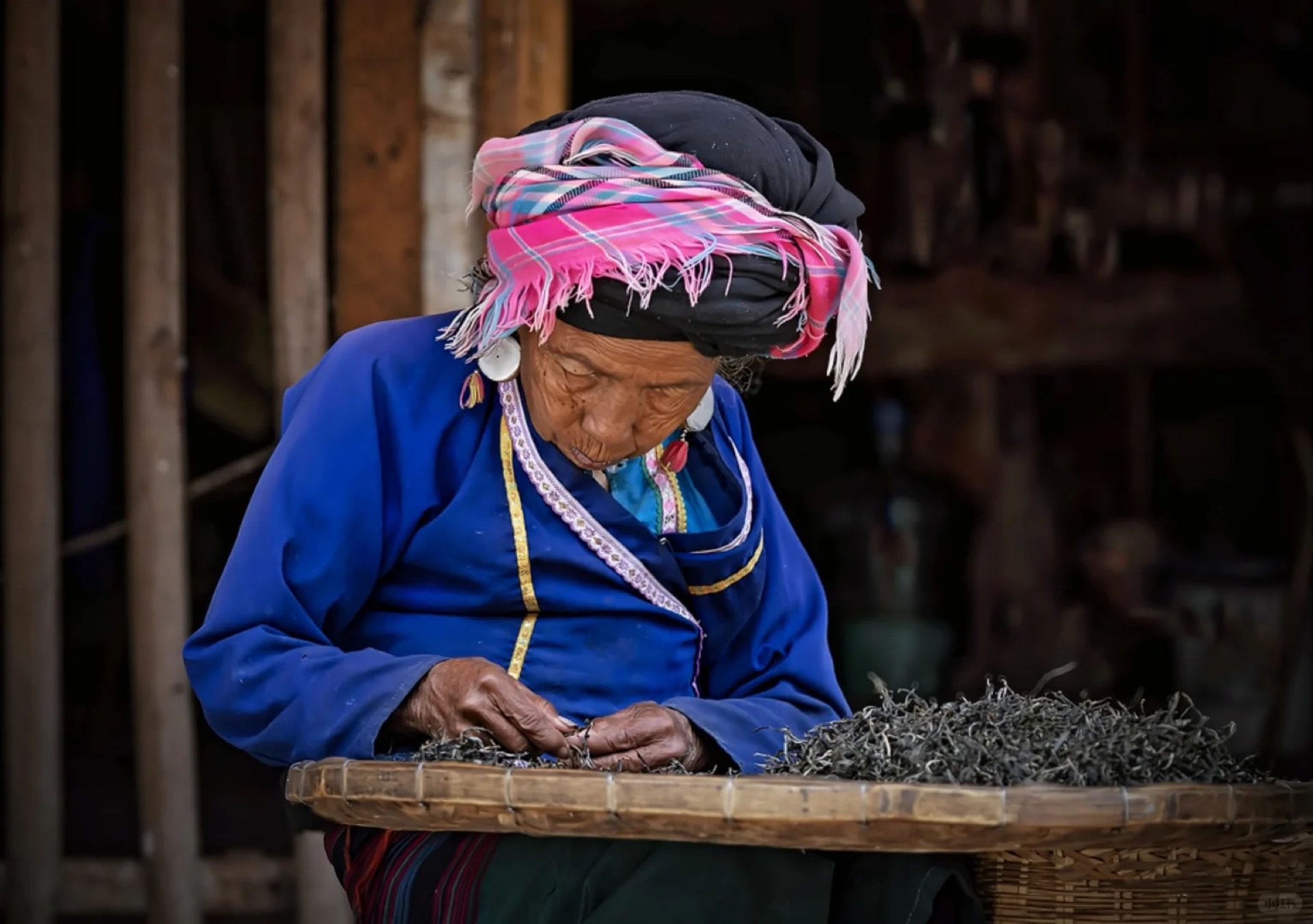 Elder in traditional pink and black headscarf sorting freshly-picked tea leaves on a bamboo tray — Pu'er tea mountains