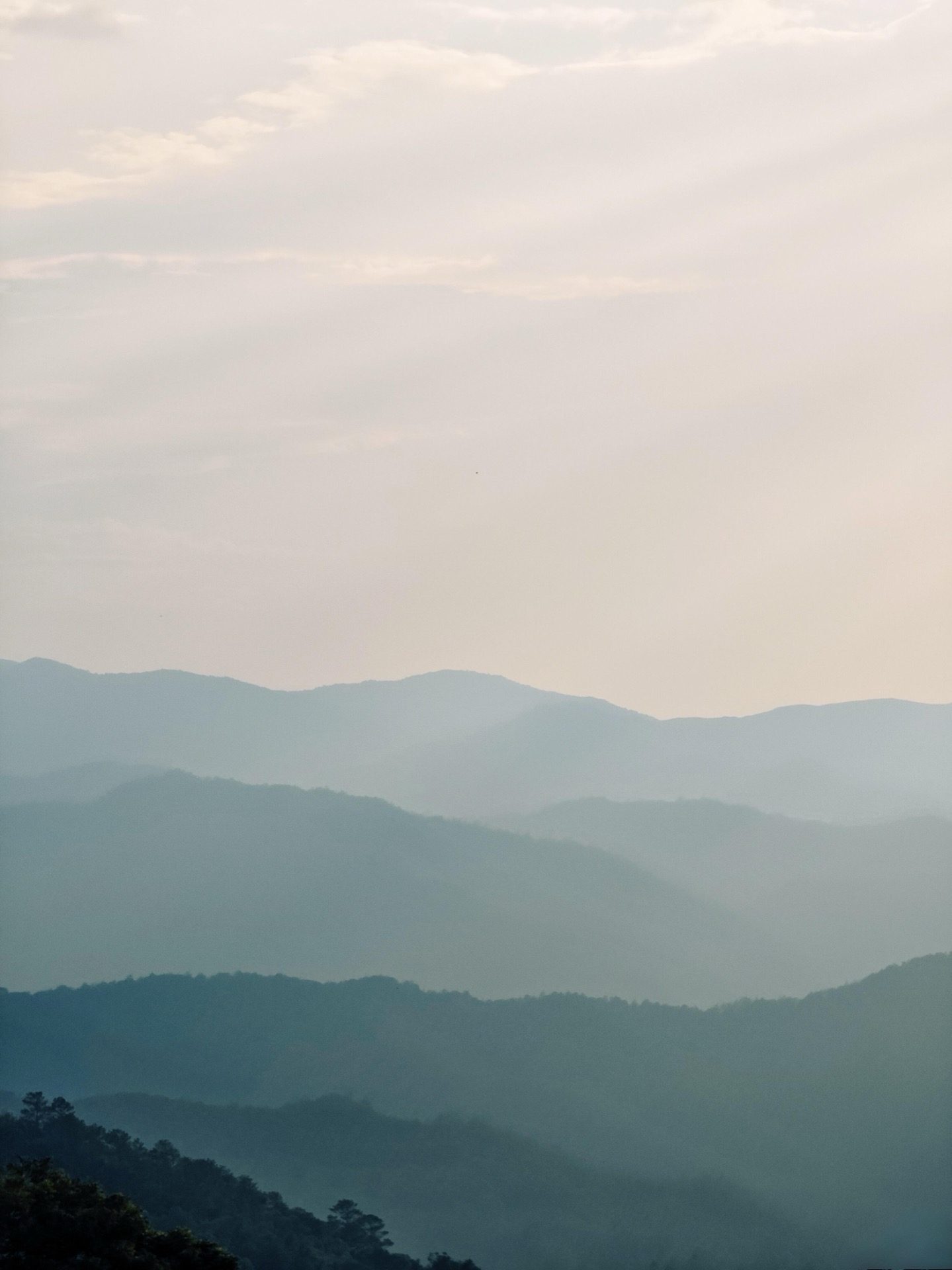 Misty morning ridges receding into pale sky over the Pu'er tea mountains — Nannuo and Jingmai region