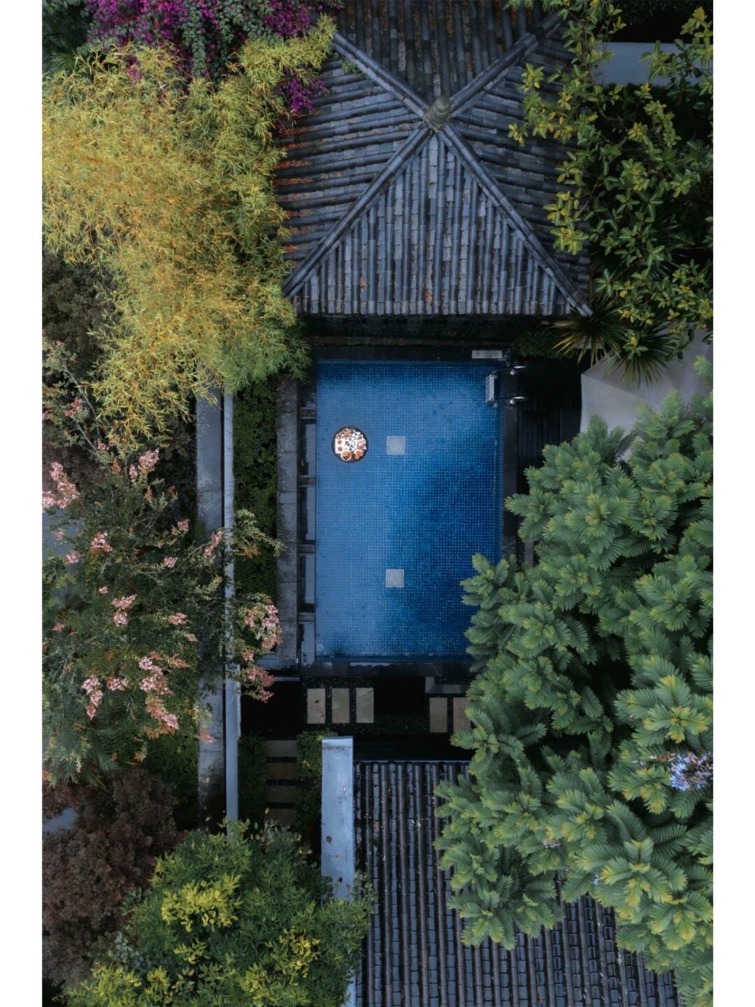 Overhead view of a private blue plunge pool set breakfast beside a tiled-roof villa amid flowering trees and palms.