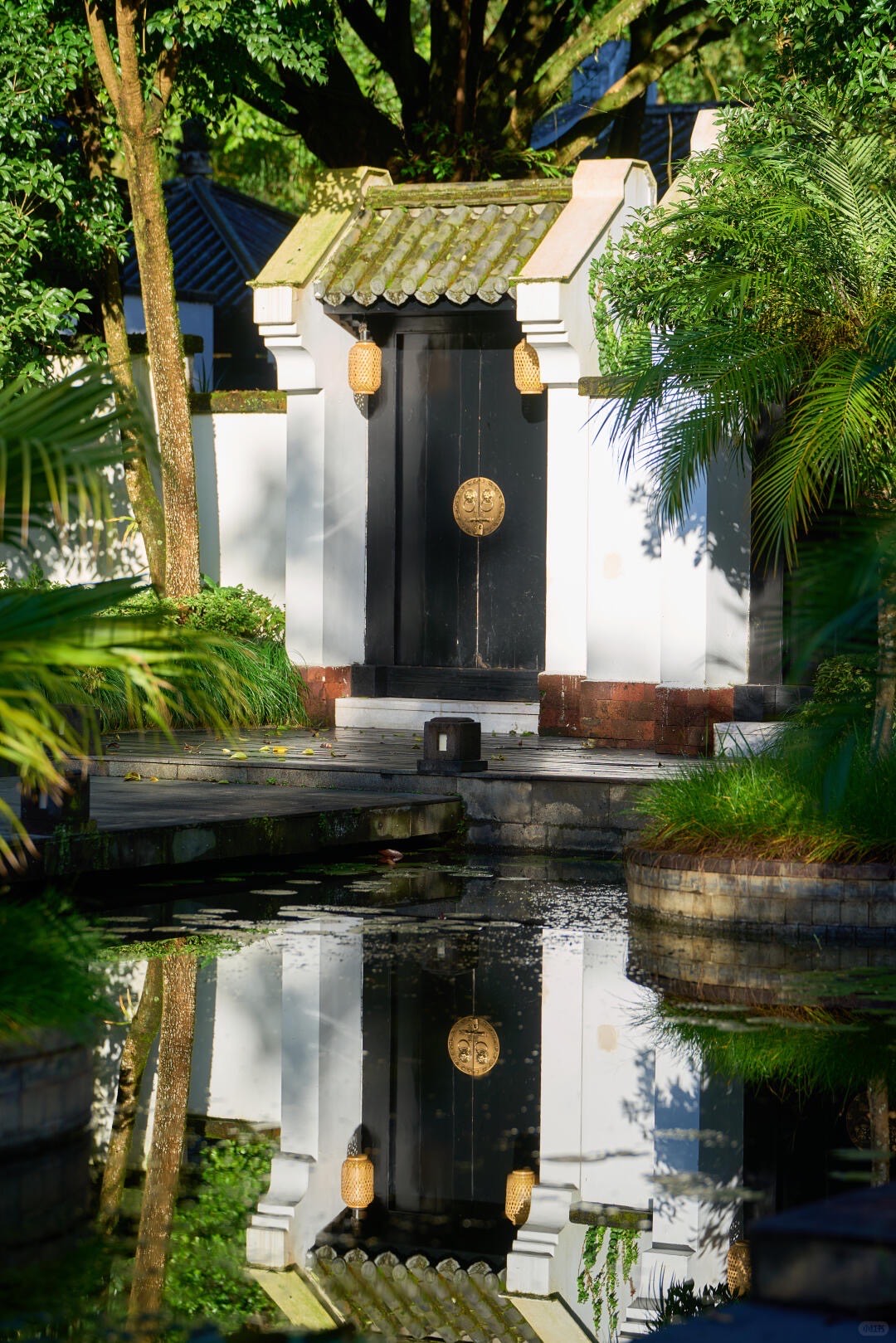 Black lacquer double door with a gold ring handle mirrored in a still garden pond surrounded by palms and greenery.