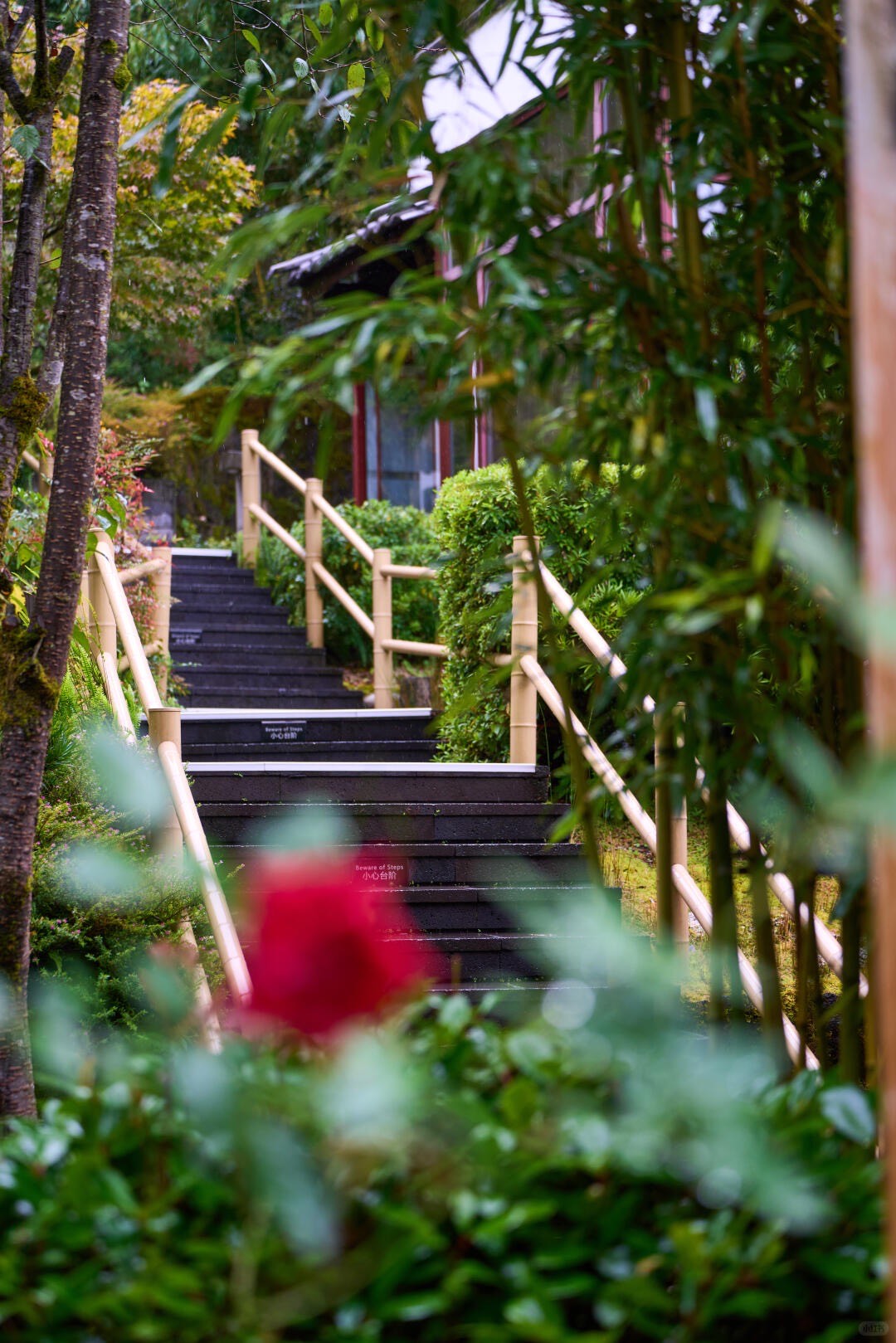 Dark stone garden stairway with bamboo handrails climbing past greenery toward a timber building, seen through foliage.
