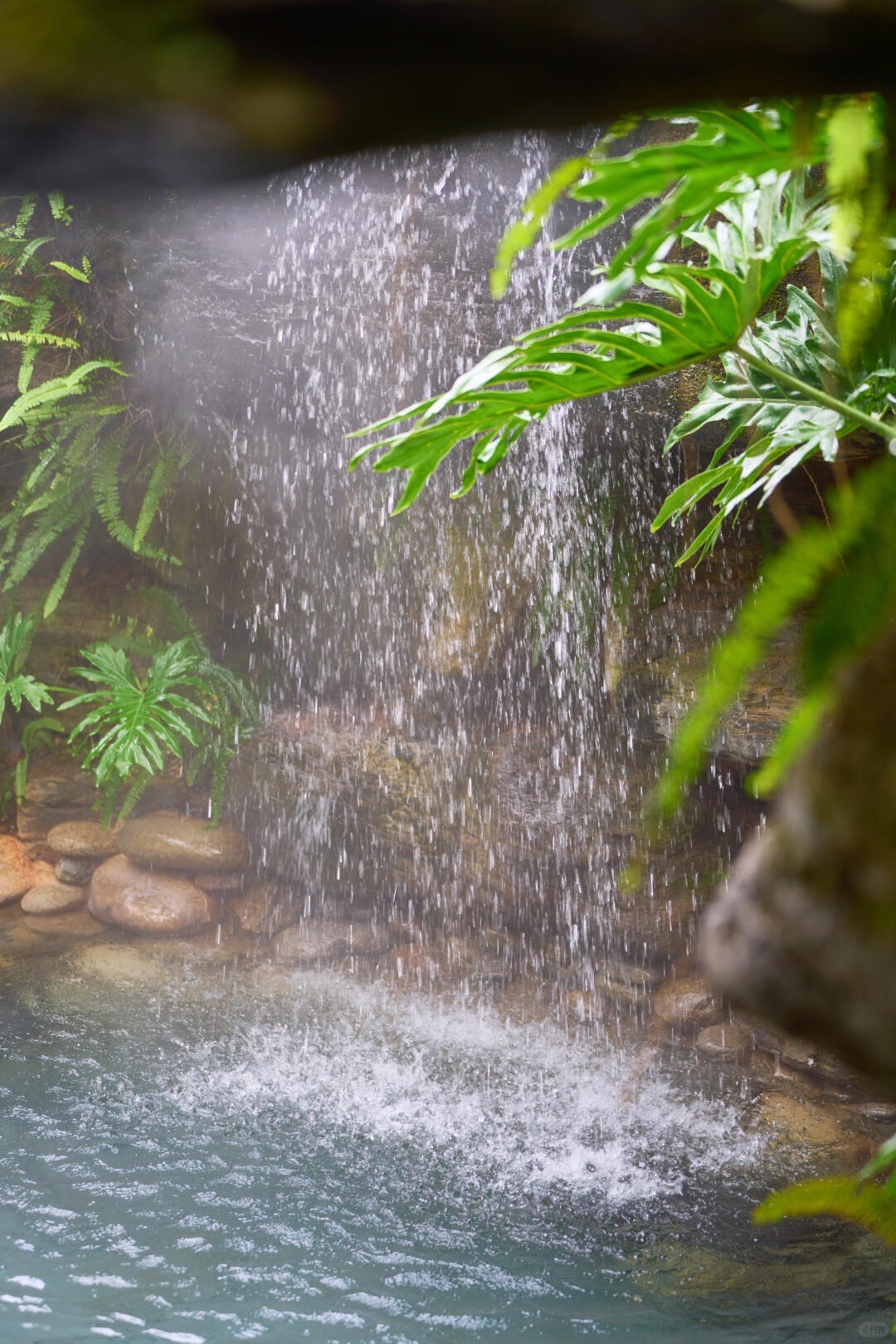 Water cascading over rock into a pool beside glossy tropical ferns and smooth stones in a misty garden.