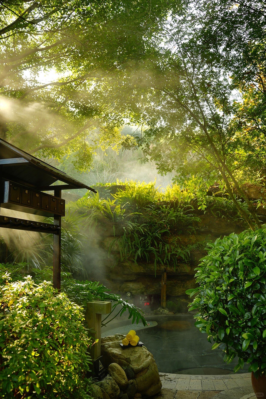 Misty outdoor hot-spring pool below a fern-covered rock wall, lit by sunbeams filtering through the tree canopy.