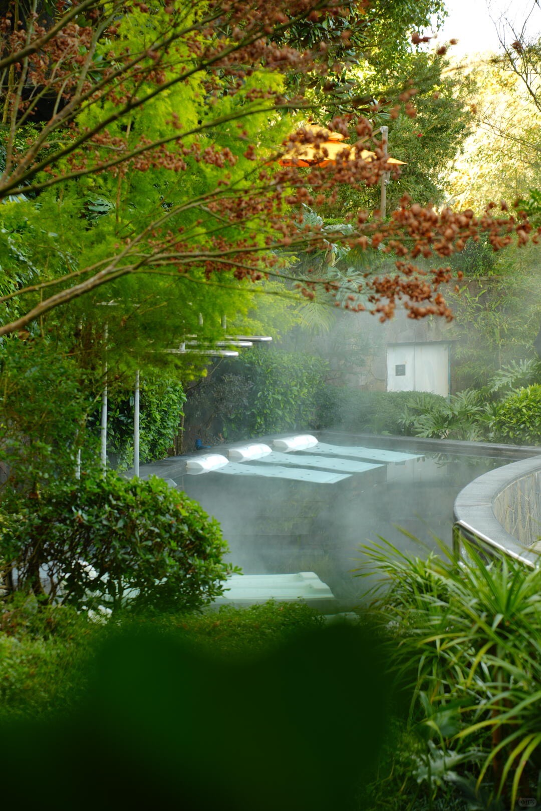 Steam rising from a hot-spring pool with submerged loungers, framed by leafy branches and dense green garden.