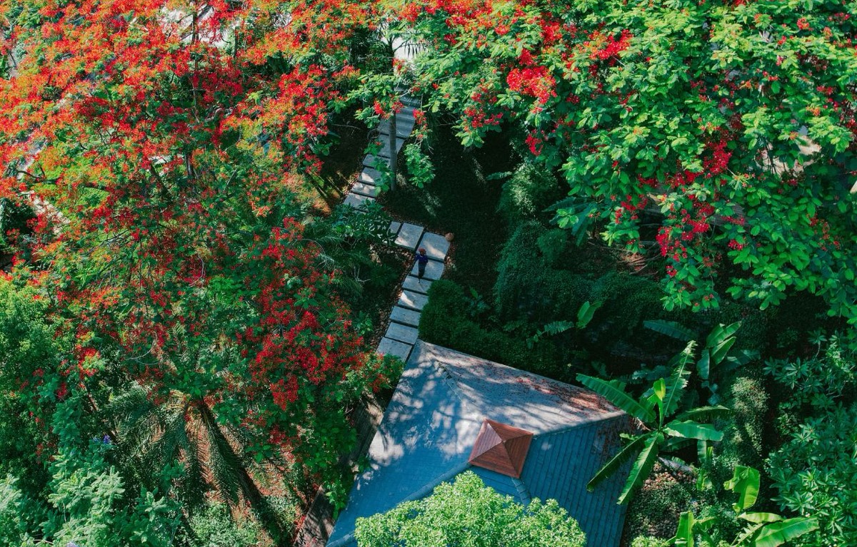 Aerial view of red flowering trees framing a stone garden path and tiled villa roof in lush greenery.