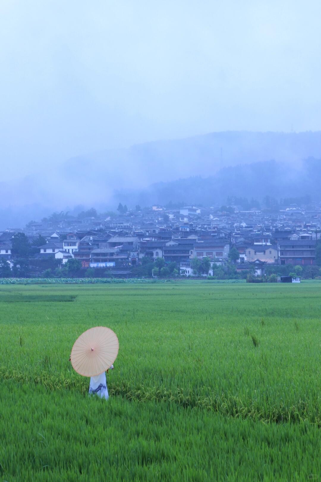 Person with an orange paper parasol in a green rice field before a misty grey-roofed village.