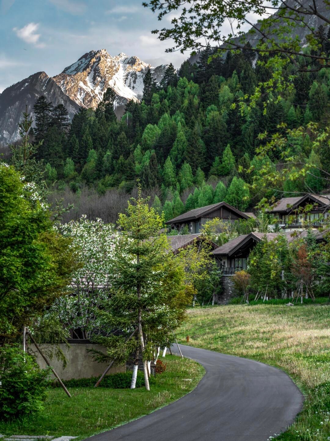 Timber-and-stone chalet lodges below snow-capped peaks and pine forest, reached by a winding path in spring.
