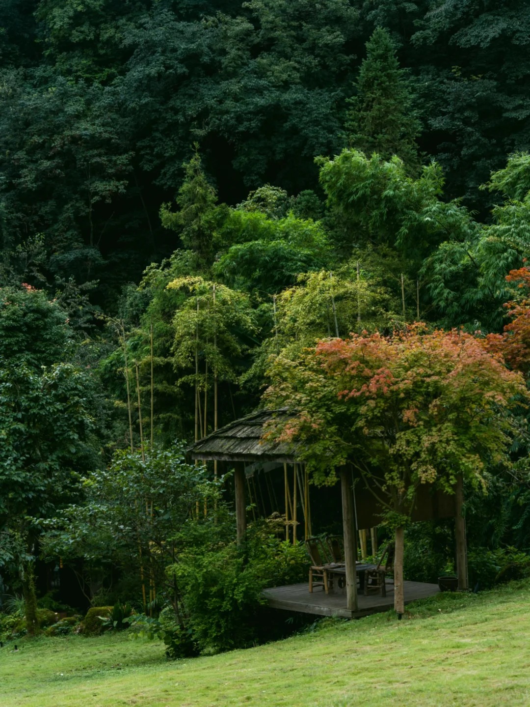 A suite at Suxiangu — timber, mountain light, Relais & Châteaux standards