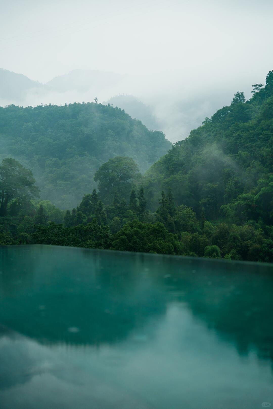 Still infinity pool overlooking misty forested mountains layered under a soft grey sky.