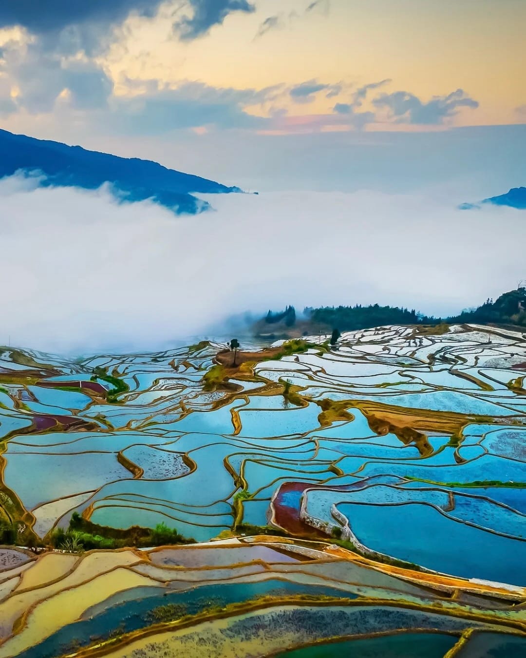 Flooded rice terraces at sunrise, Yuanyang