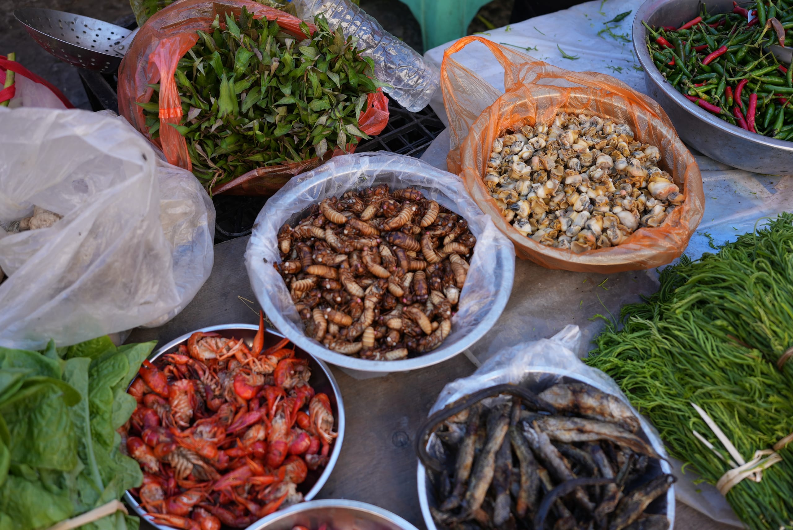 Local market ingredients — herbs, snails and river fish