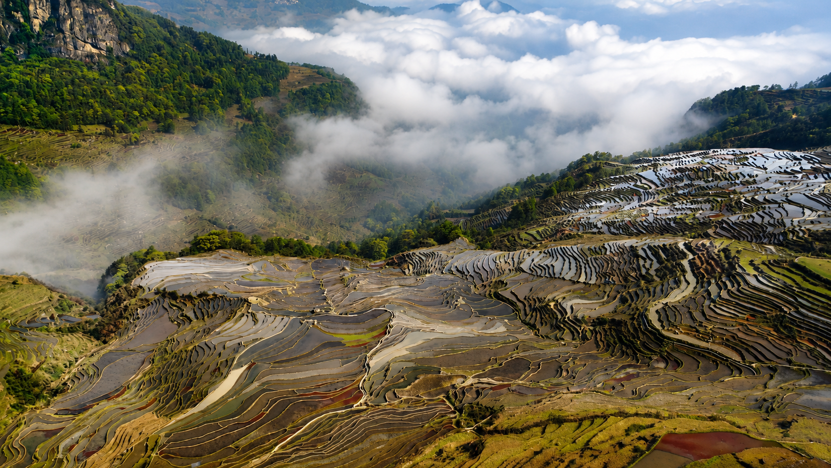 Hani village above the Yuanyang rice terraces