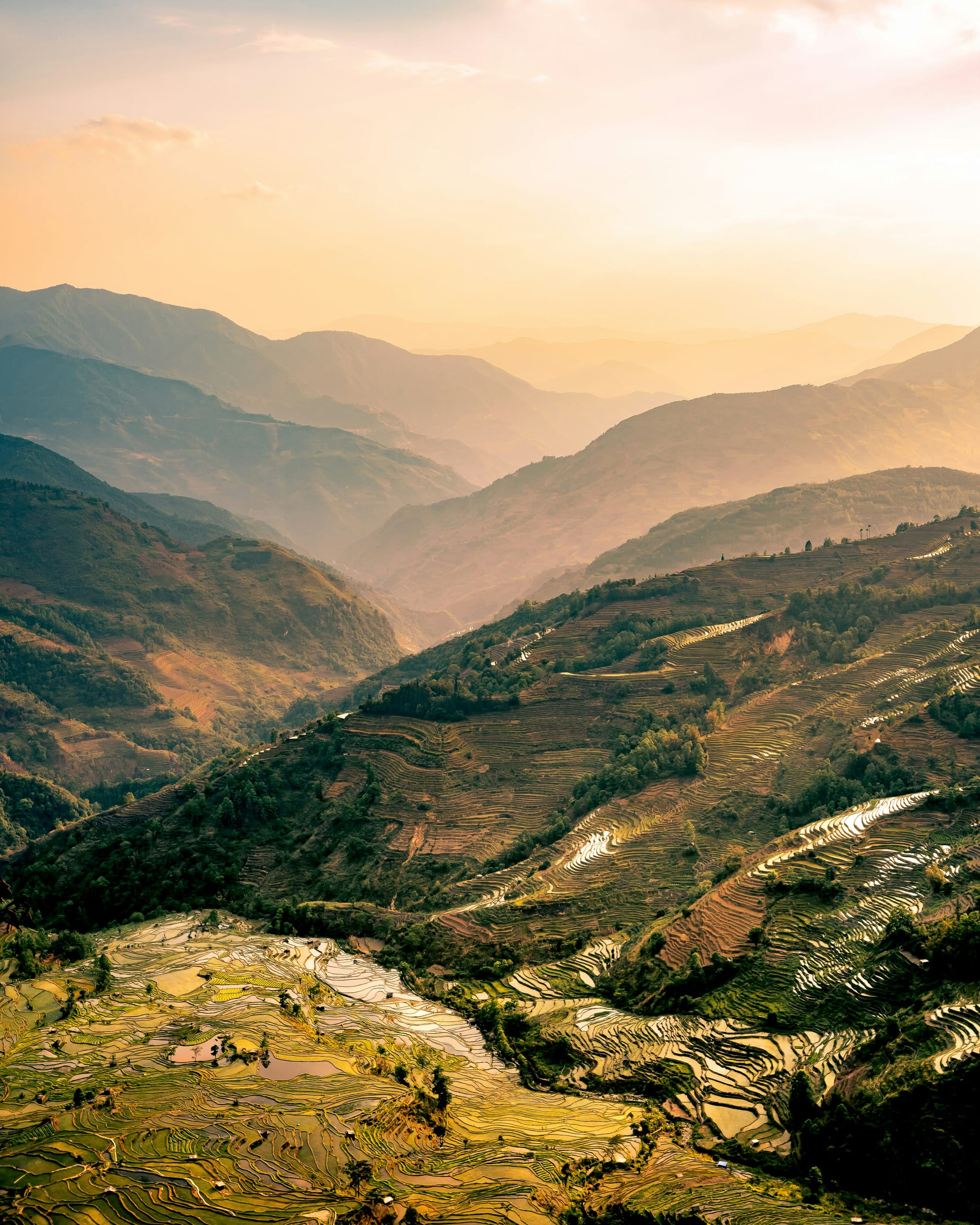 Dawn over the flooded Hani rice terraces, Yuanyang