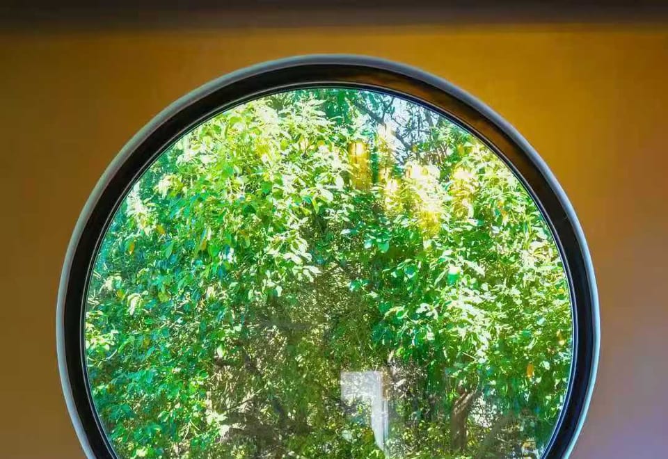 He Ting · Awamei — moon window and rosewood chairs