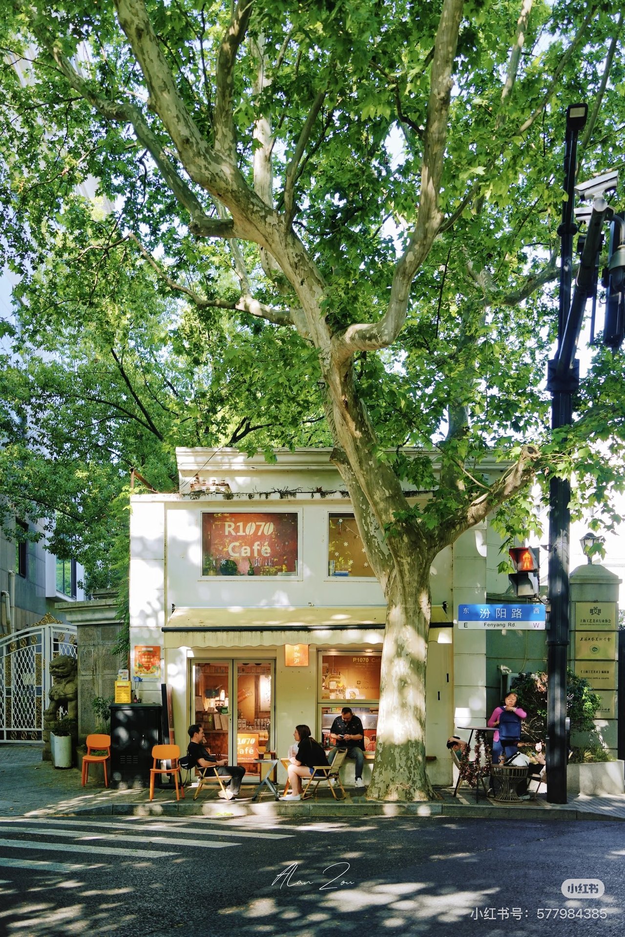 A corner café under a plane tree in the former French Concession, Shanghai